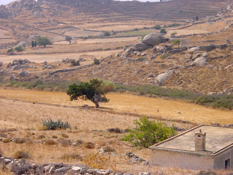 Naxos Landschaftsblick im Sueden 3.JPG - Photos of Cyclades, Greece in September 2002